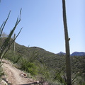 Tucson-Esperero Trail_10.JPG